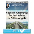 Ancient Aliens or Fallen Angels